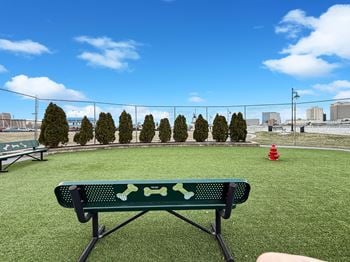 Bark Park